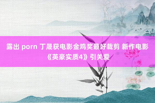 露出 porn 丁晟获电影金鸡奖最好裁剪 新作电影《英豪实质4》引关爱