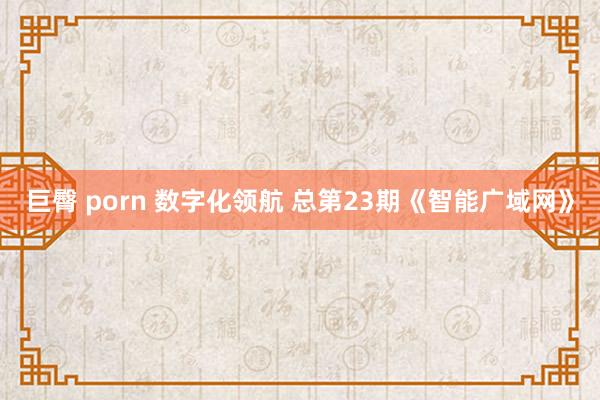 巨臀 porn 数字化领航 总第23期《智能广域网》