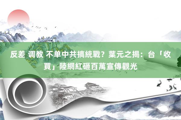 反差 调教 不单中共搞統戰？　葉元之揭：台「收買」陸網紅砸百萬宣傳觀光