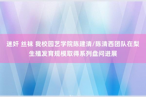 迷奸 丝袜 我校园艺学院陈建清/陈清西团队在梨生殖发育规模取得系列盘问进展